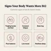 Signs your body wants more B12